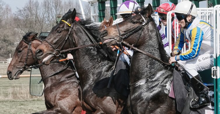 Betting on Horse Racing